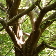 Résultats du concours photos 2016