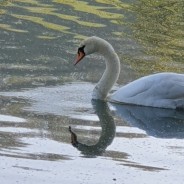 Randos du lundi de Pâques 2026, c&rsquo;est bientôt !