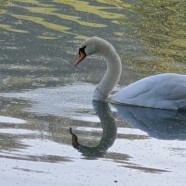 Randos du lundi de Pâques 2026, c&rsquo;est bientôt !