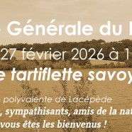 Bandeau deroulant 40